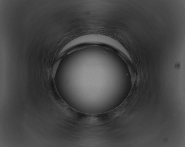 X0000091470276200708301859