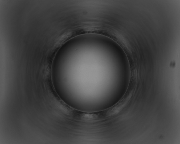 X0000091470277200708301859