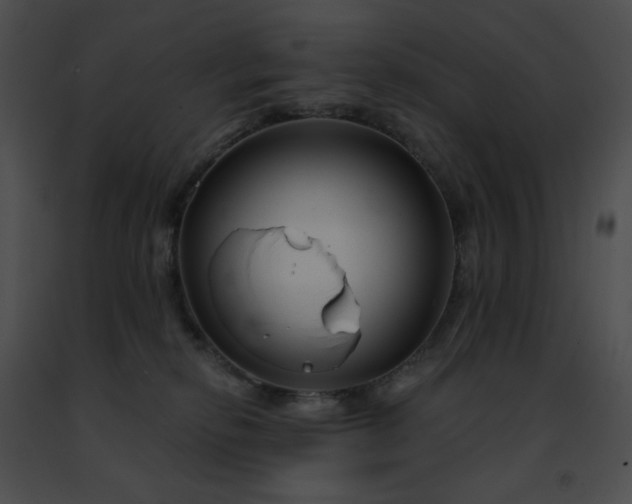 X0000091470278200708301859