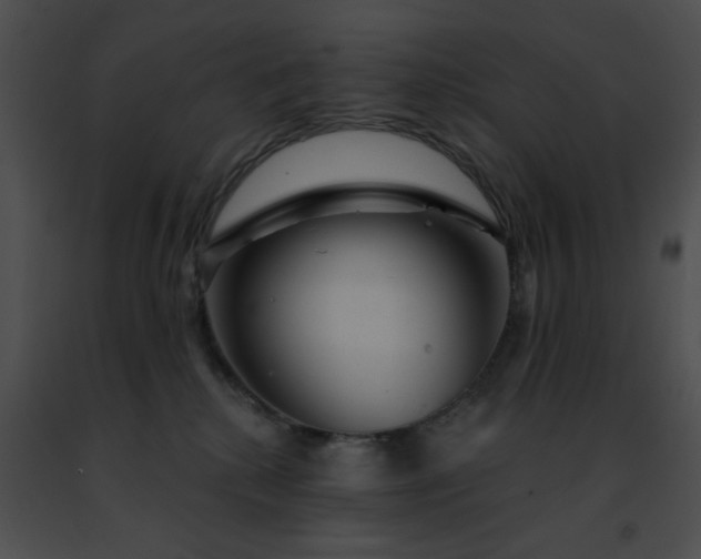 X0000091470280200708301859