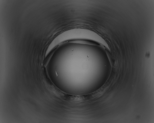 X0000091470282200708301859