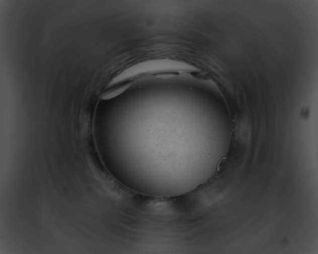 X0000091470283200708301859