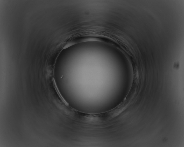 X0000091470284200708301859