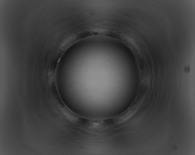 X0000091470285200708301859