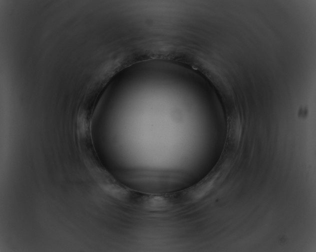 X0000091470287200708301859