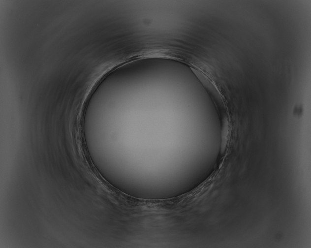 X0000091470289200708301859