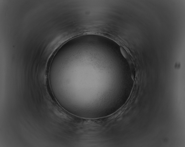 X0000091470290200708301859