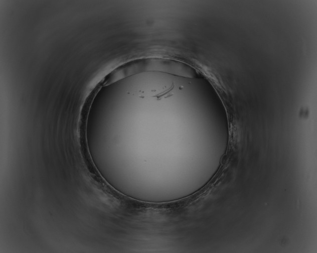 X0000091470292200708301859