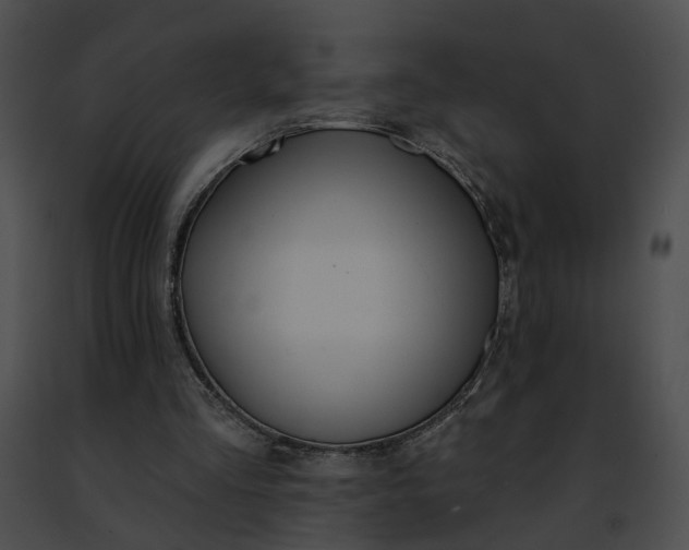 X0000091470293200708301859