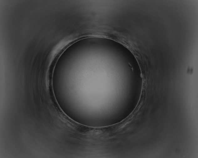 X0000091470294200708301859