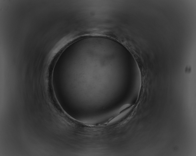 X0000091470295200708301859