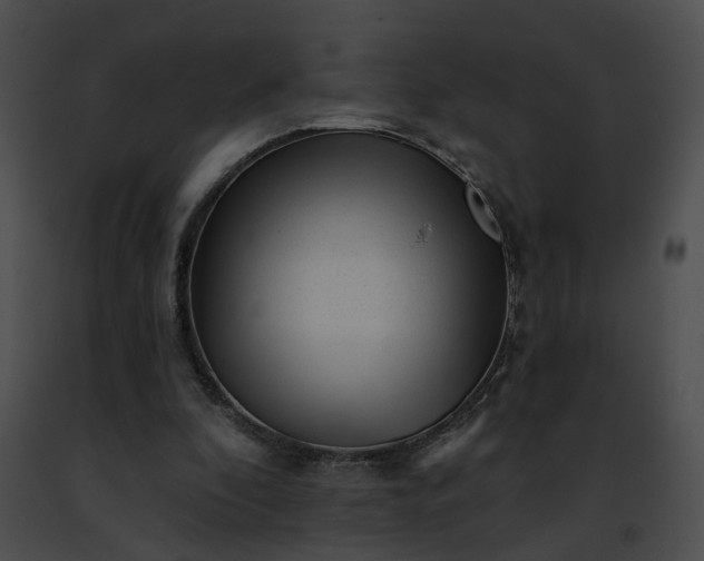 X0000091470296200708301859