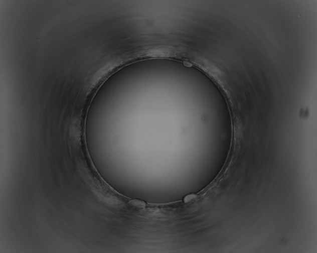 X0000091470297200708301859