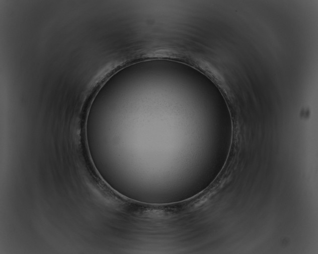 X0000091470298200708301859