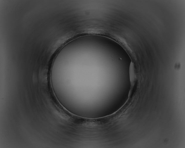 X0000091470299200708301859