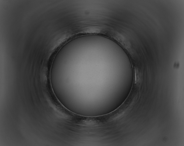 X0000091470300200708301859