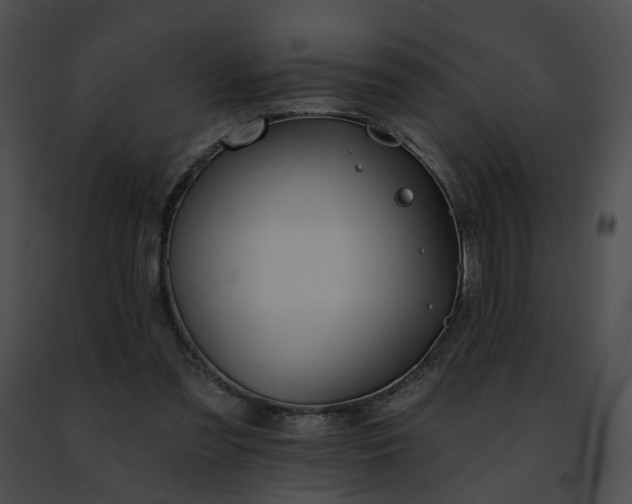 X0000091470301200708301859