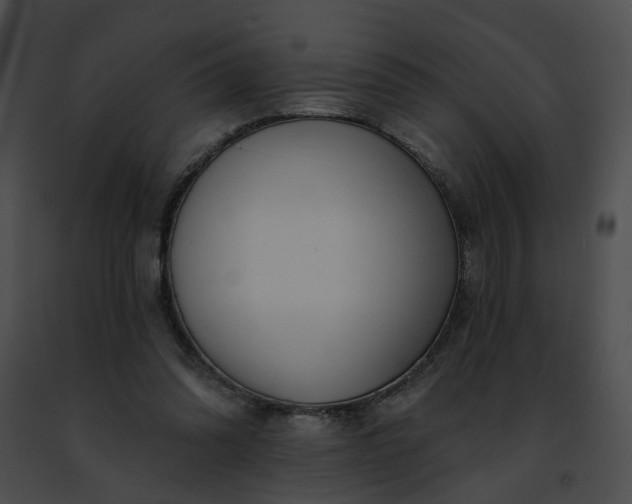 X0000091470302200708301859