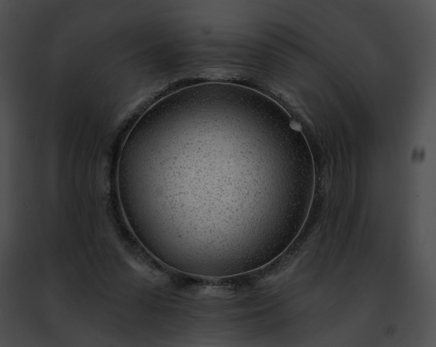 X0000091470303200708301859