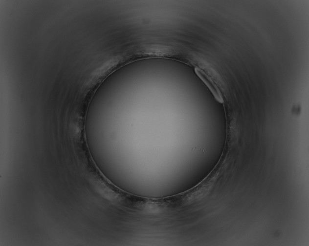 X0000091470305200708301859