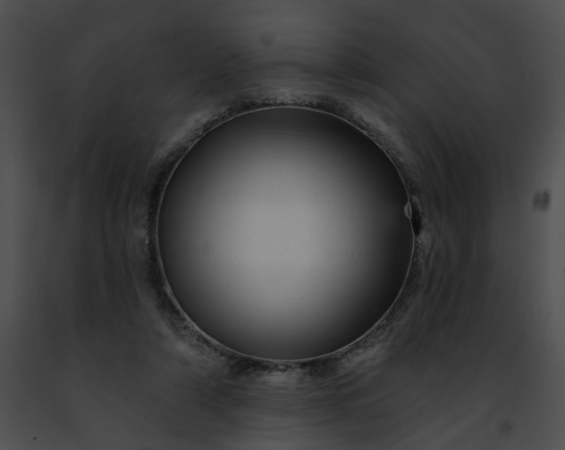 X0000091470306200708301859