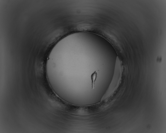 X0000091470308200708301859