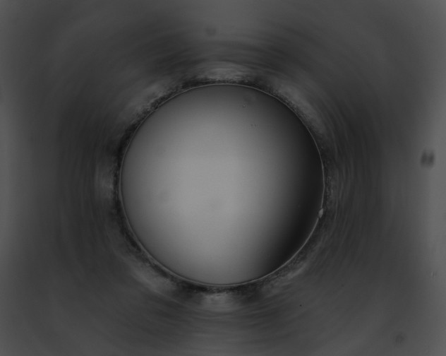 X0000091470309200708301859