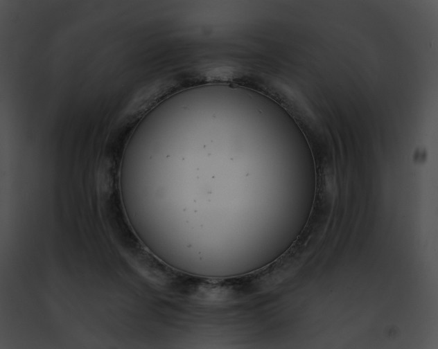 X0000091470311200708301858