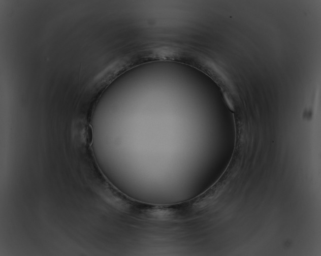 X0000091470313200708301858