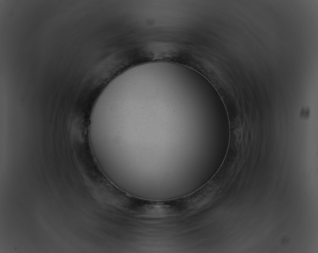 X0000091470316200708301858