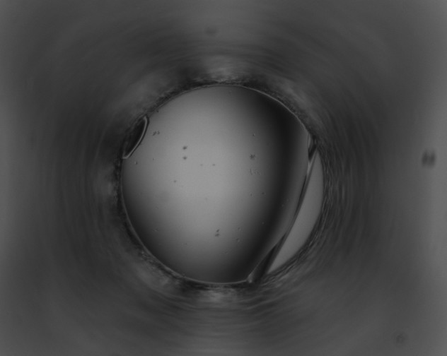 X0000091470317200708301858