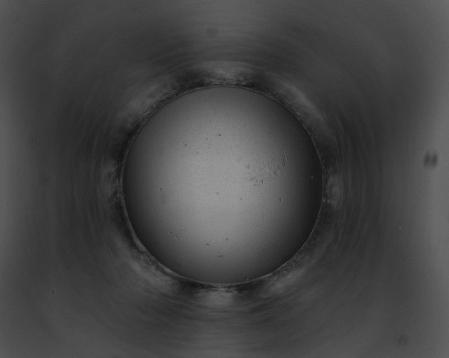 X0000091470318200708301858