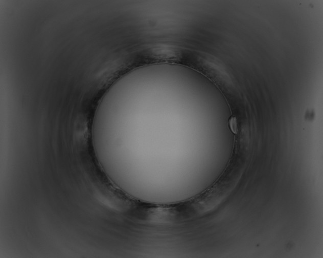 X0000091470320200708301858