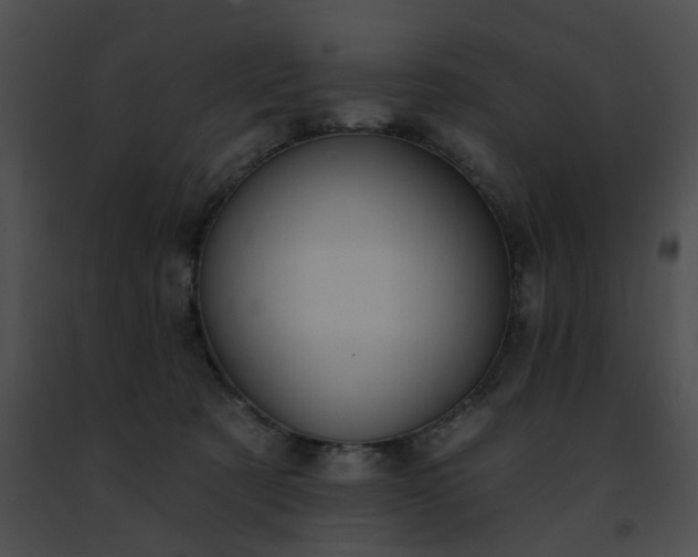 X0000091470321200708301858