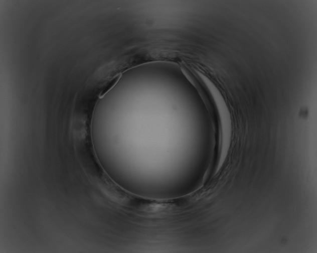 X0000091470323200708301858