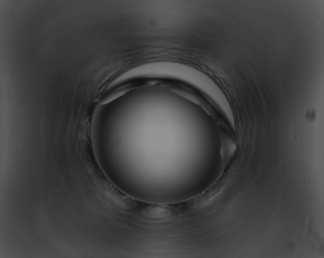 X0000091470325200708301858