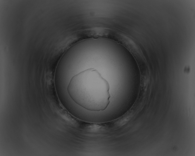 X0000091470326200708301858