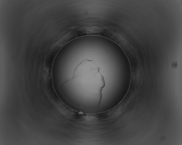 X0000091470327200708301858