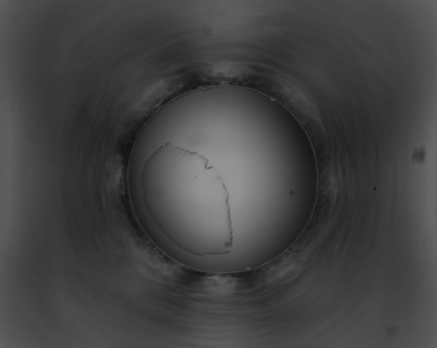 X0000091470328200708301858