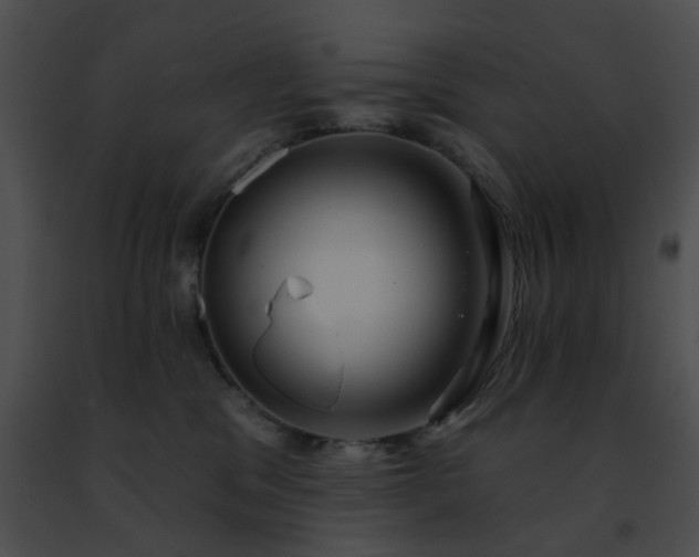 X0000091470329200708301858