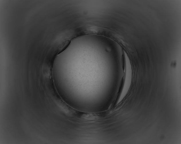 X0000091470331200708301858