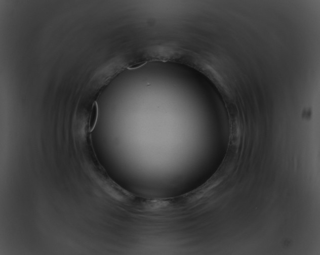 X0000091470334200708301858