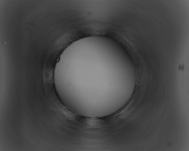 X0000091470336200708301858