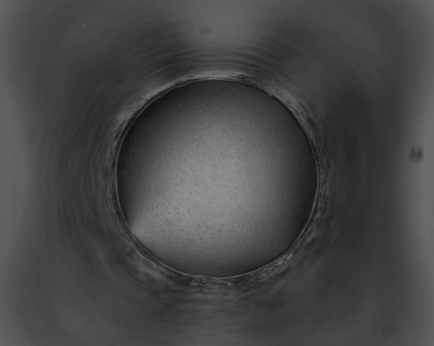 X0000091470337200708301858