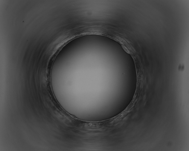 X0000091470338200708301858