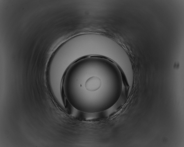 X0000091470340200708301858