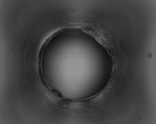 X0000091470342200708301858