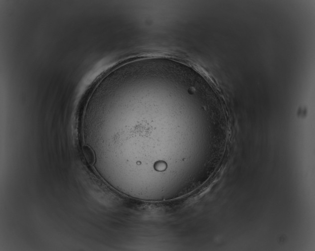 X0000091470343200708301858