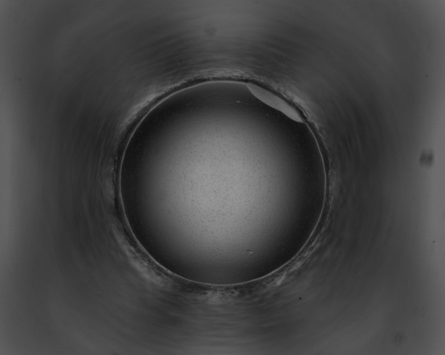 X0000091470345200708301858