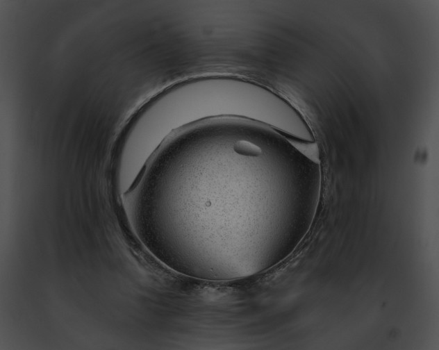 X0000091470346200708301858